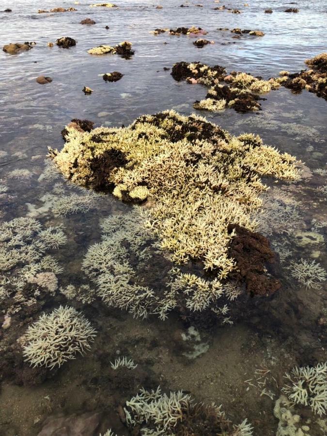 Khach San Nhu Yen Hotell Nha Trang Eksteriør bilde